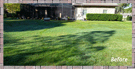 Pavers Gallery Elegant