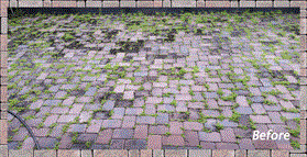 Pavers Gallery Elegant