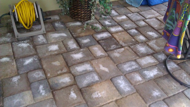  Pavers Elegant Pavers About us