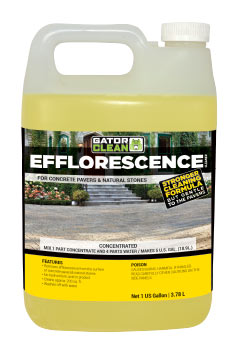 Efflorescence Cleaner Efflorescence Cleaner