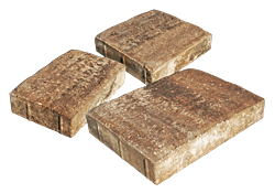 Mega Olde Towne Mega Olde Towne